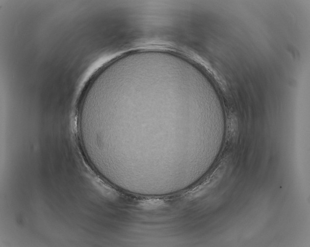 X0000112001462200908311104