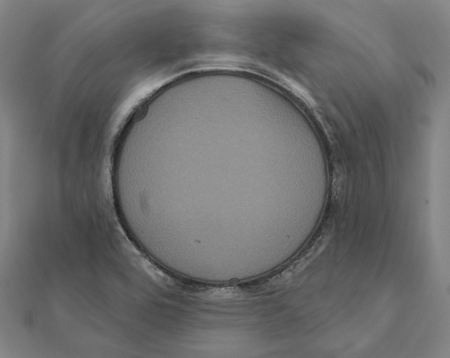 X0000112001464200908311104