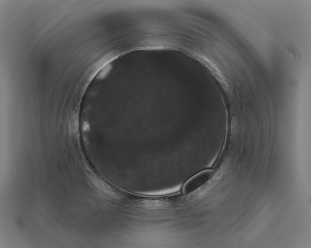 X0000112001465200908311104