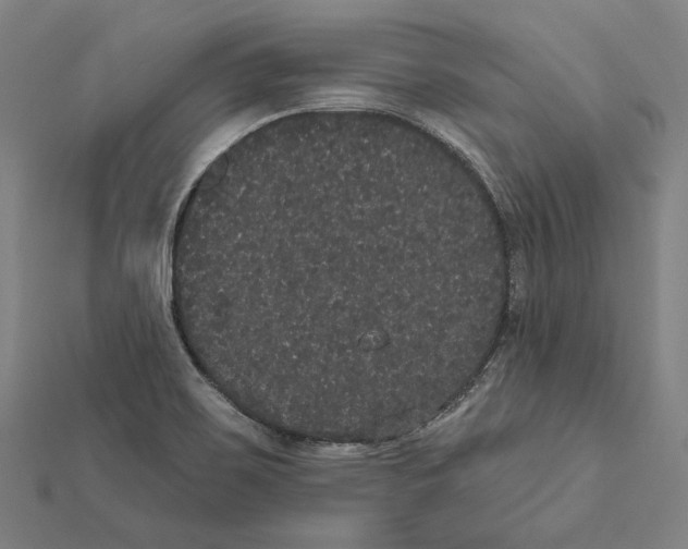 X0000112001467200908311104