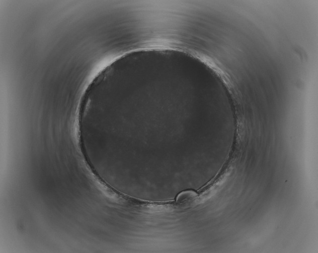 X0000112001469200908311104