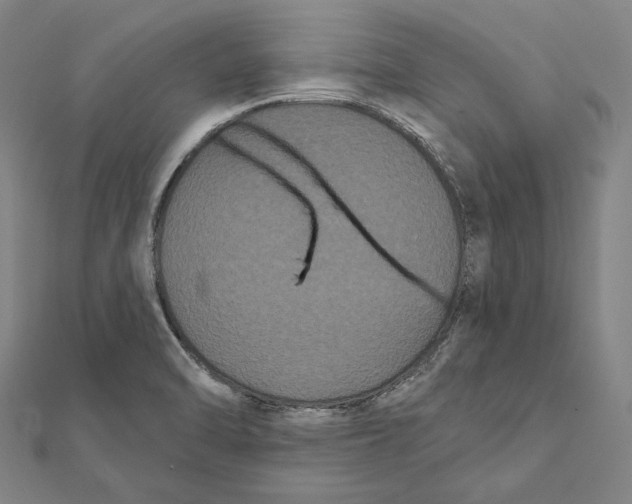 X0000112001470200908311104