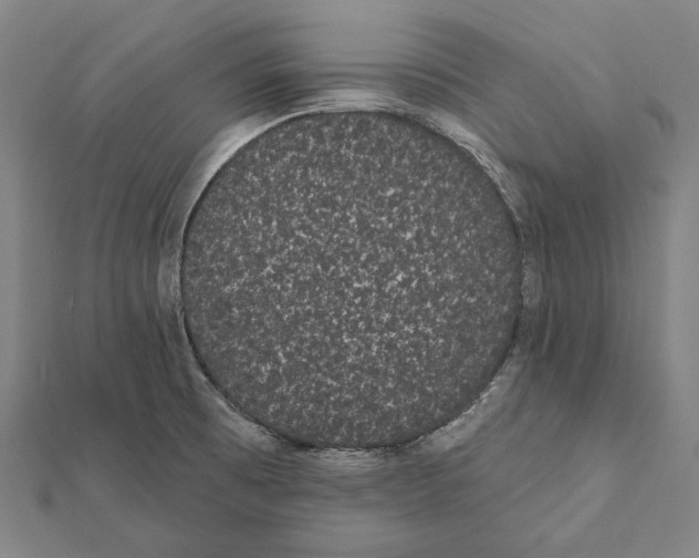 X0000112001473200908311104