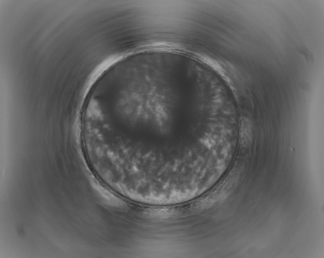 X0000112001474200908311104