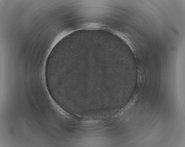 X0000112001475200908311104