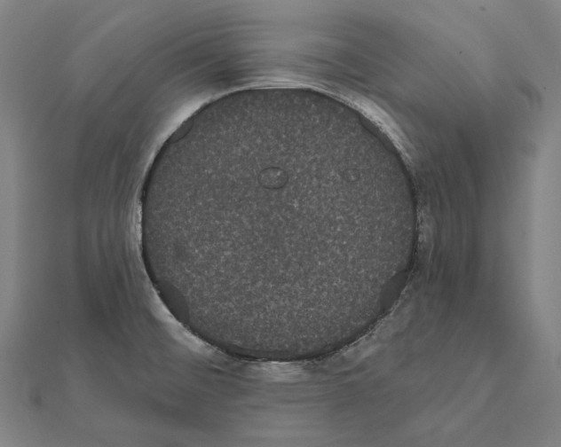 X0000112001476200908311104