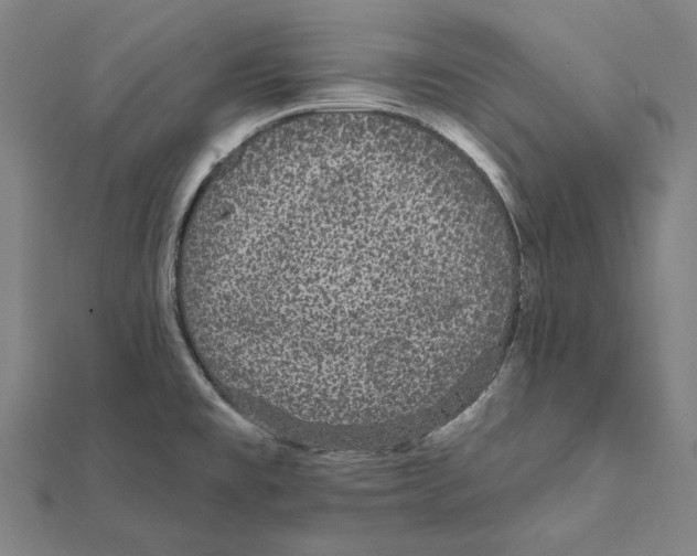 X0000112001477200908311104