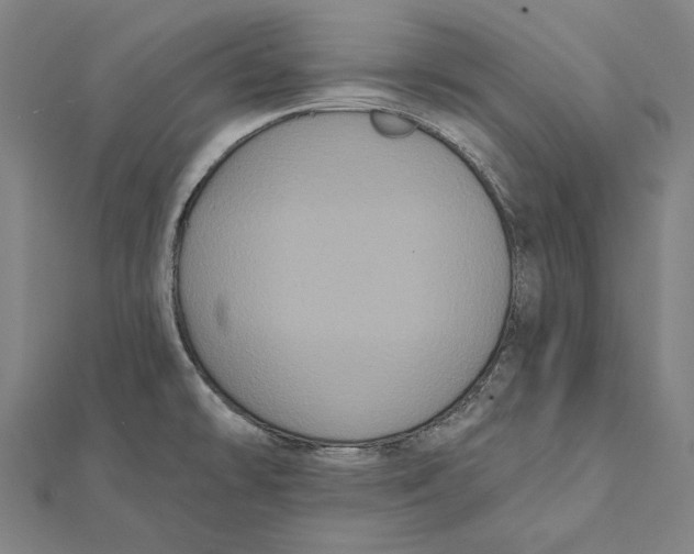 X0000112001478200908311104