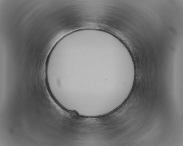 X0000112001479200908311104