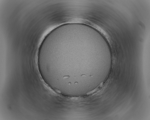 X0000112001480200908311104