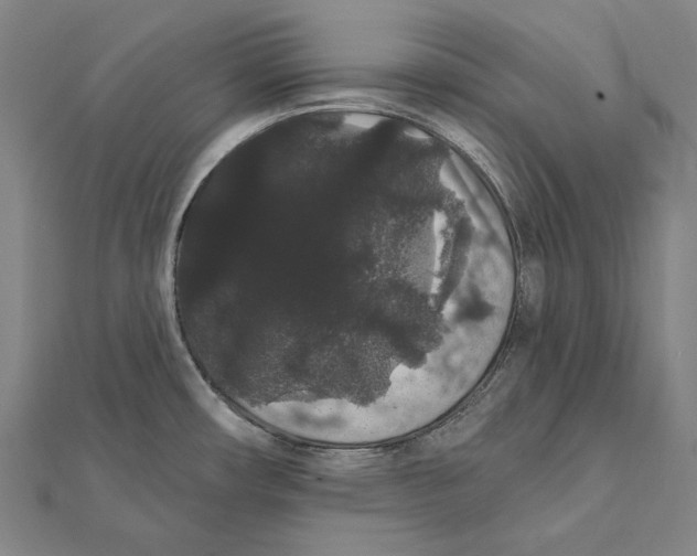 X0000112001482200908311104