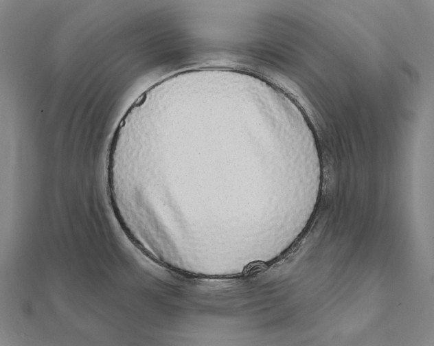 X0000112001483200908311104