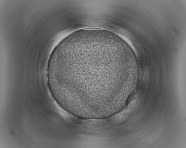 X0000112001485200908311104