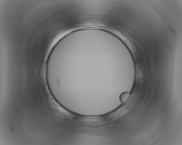 X0000112001486200908311104