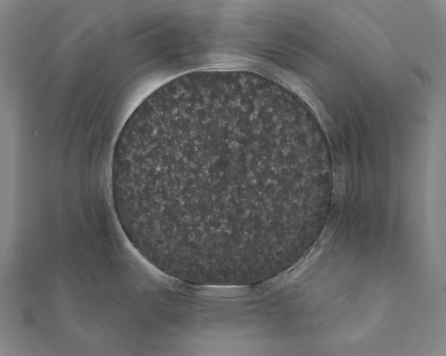 X0000112001487200908311104