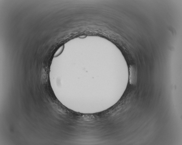 X0000112001491200908311103