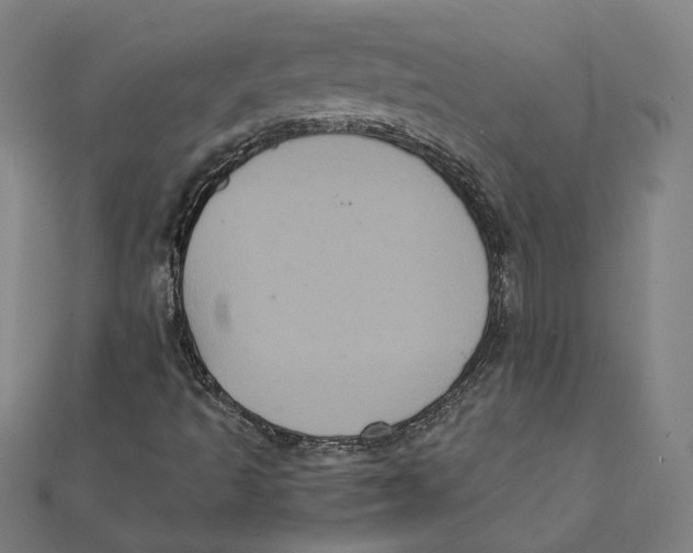 X0000112001493200908311103