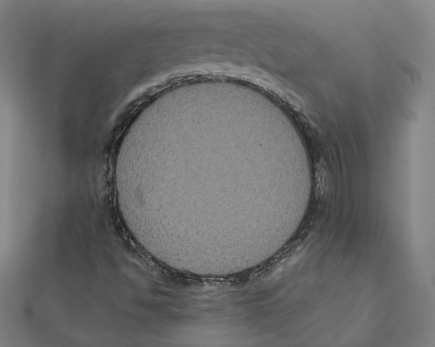 X0000112001494200908311103