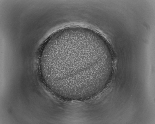 X0000112001496200908311103