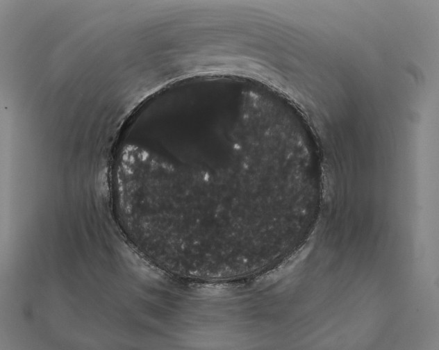 X0000112001497200908311103