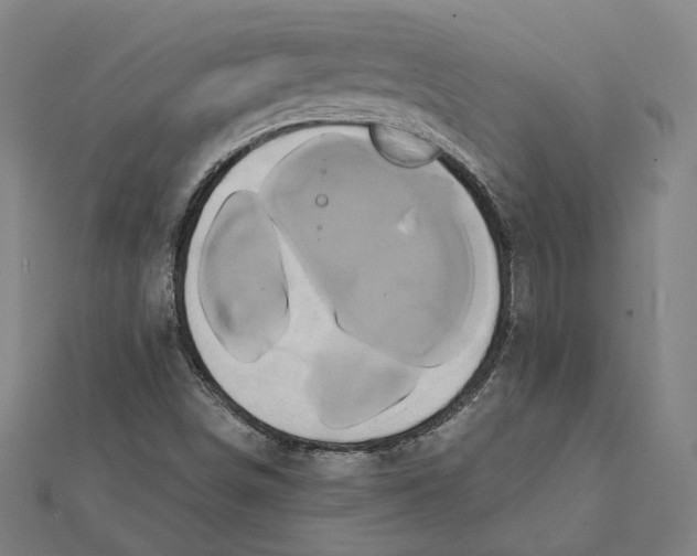 X0000112001498200908311103