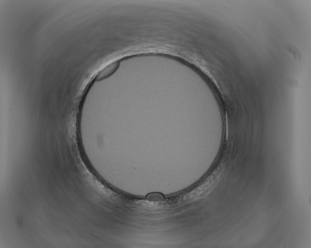 X0000112001500200908311103