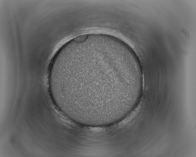 X0000112001501200908311103