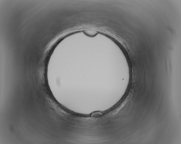 X0000112001502200908311103