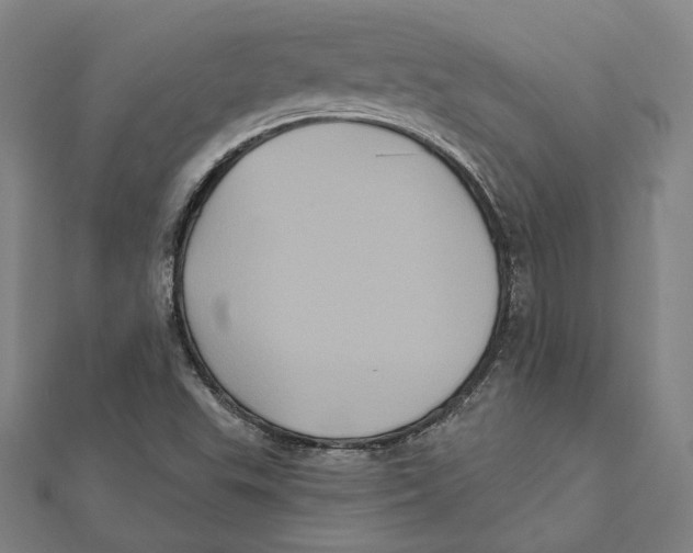 X0000112001503200908311103