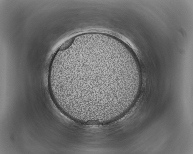 X0000112001504200908311103