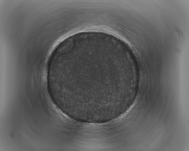 X0000112001506200908311103