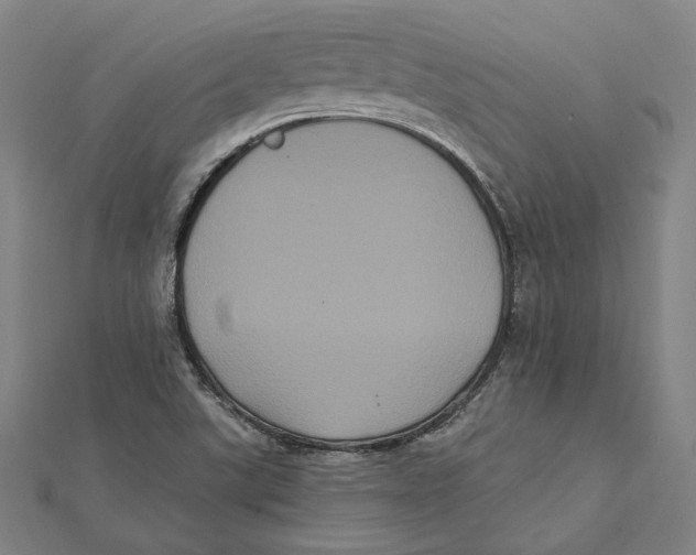 X0000112001507200908311103