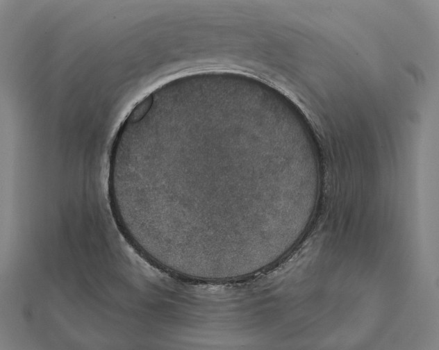 X0000112001508200908311103