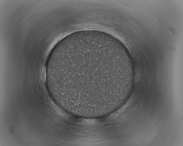 X0000112001509200908311103