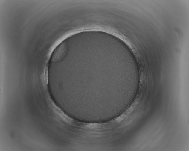 X0000112001510200908311103