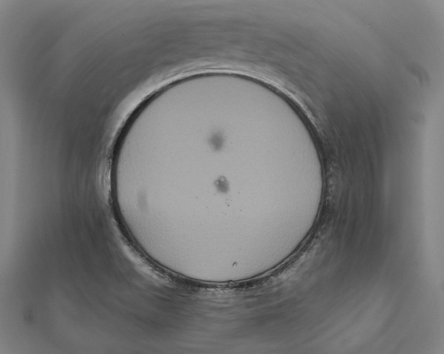 X0000112001511200908311103