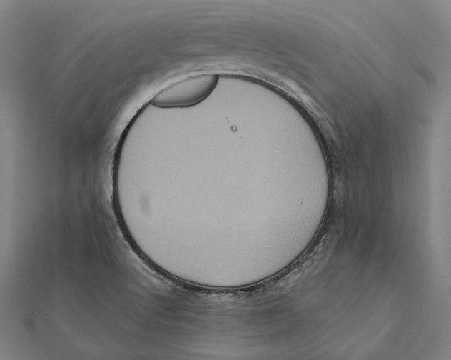 X0000112001512200908311103