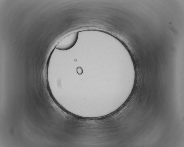 X0000112001516200908311103