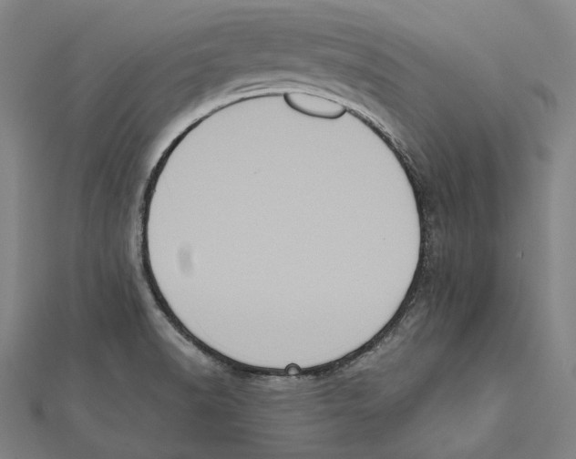 X0000112001518200908311103