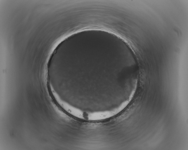 X0000112001519200908311103