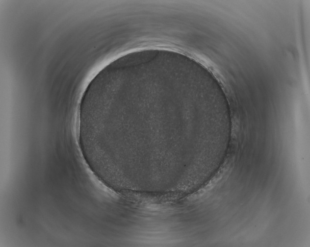 X0000112001520200908311103