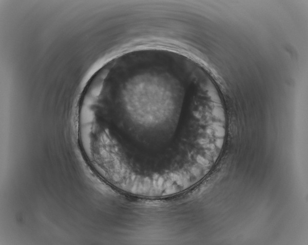 X0000112001522200908311103