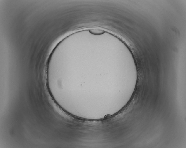 X0000112001526200908311104