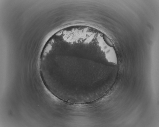 X0000112001527200908311104