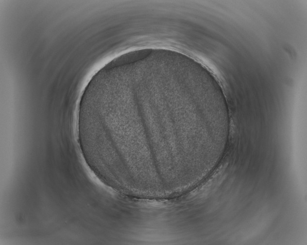 X0000112001528200908311104