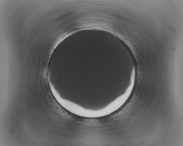 X0000112001529200908311104