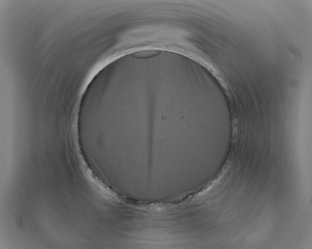 X0000112001530200908311104