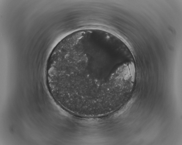 X0000112001533200908311104