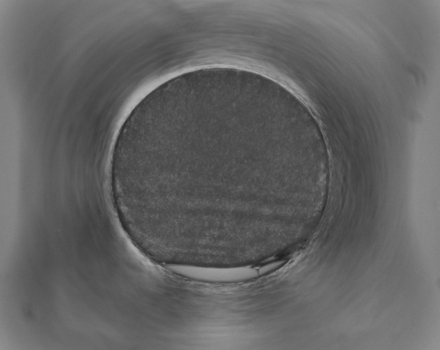 X0000112001536200908311104