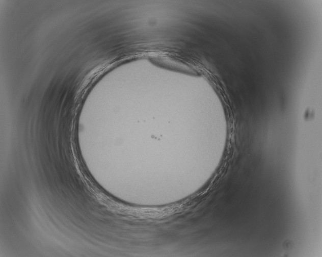 X0000112000001200909141113